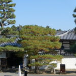 DSC02422