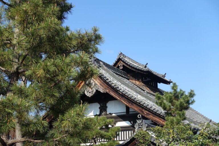 교토 여행.part4-건인사(建仁寺-겐닌지)