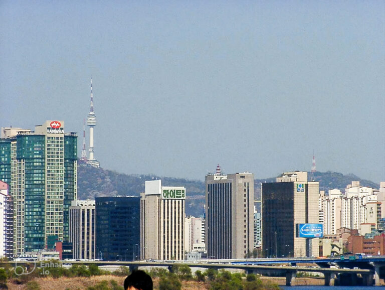 회사 인라인 모임