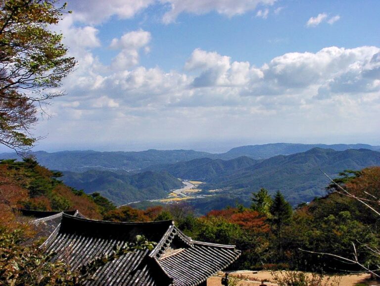 오리냥과의 경주여행(뚜벅이족 ver)